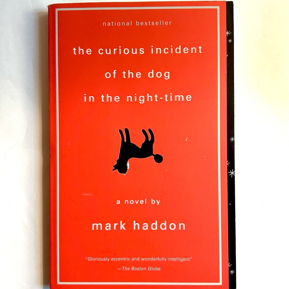 The Curious Incident of the Dog in the Night-Time by Mark Haddon